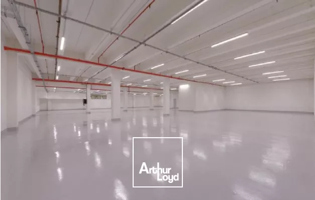 Au cœur de Paris : logistique urbaine