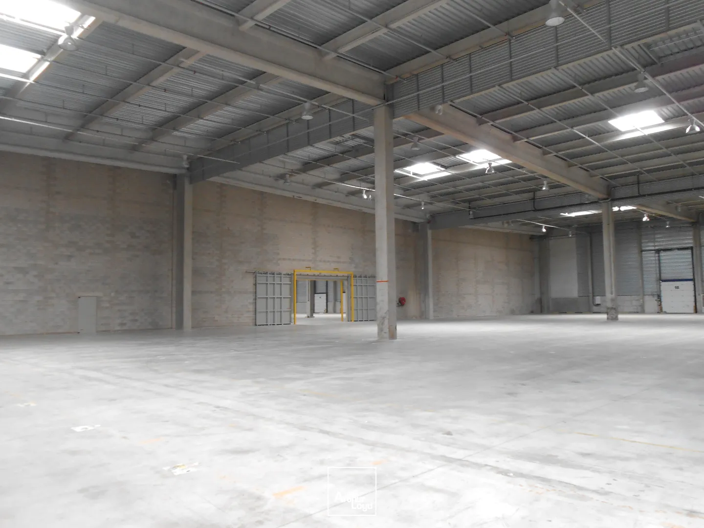 Logistique - Location - SALON DE PROVENCE - 13300 - 20461-20461 - 7774567