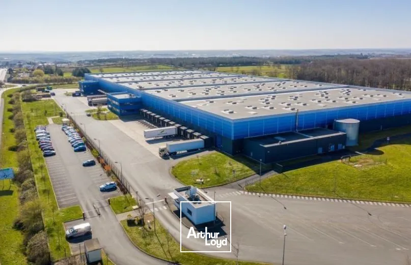 Logistique - Location - BEAULIEU SUR LAYON - 49750 - 31407-31407 - 7979276