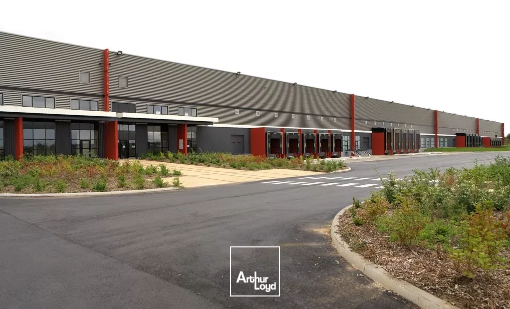 Location au sein du Distripôle Delta 3