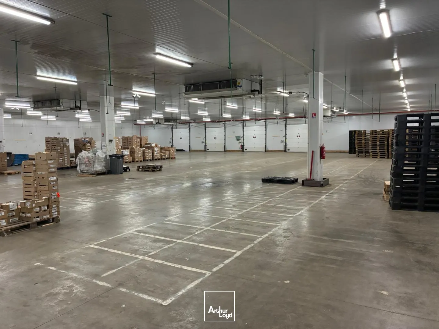 A louer sur Montéléger, près de Valence : Messagerie avec froid positif