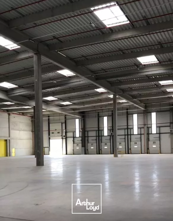 Surface logistique neuve