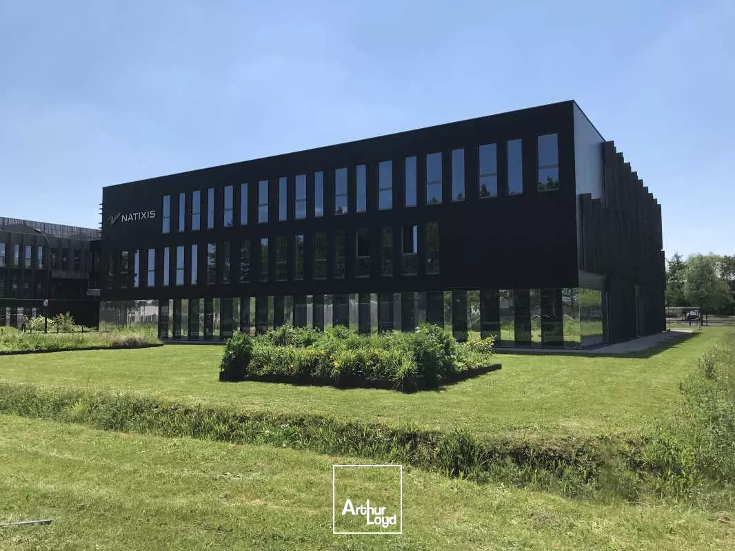 Bureaux à louer à La Haute Borne !