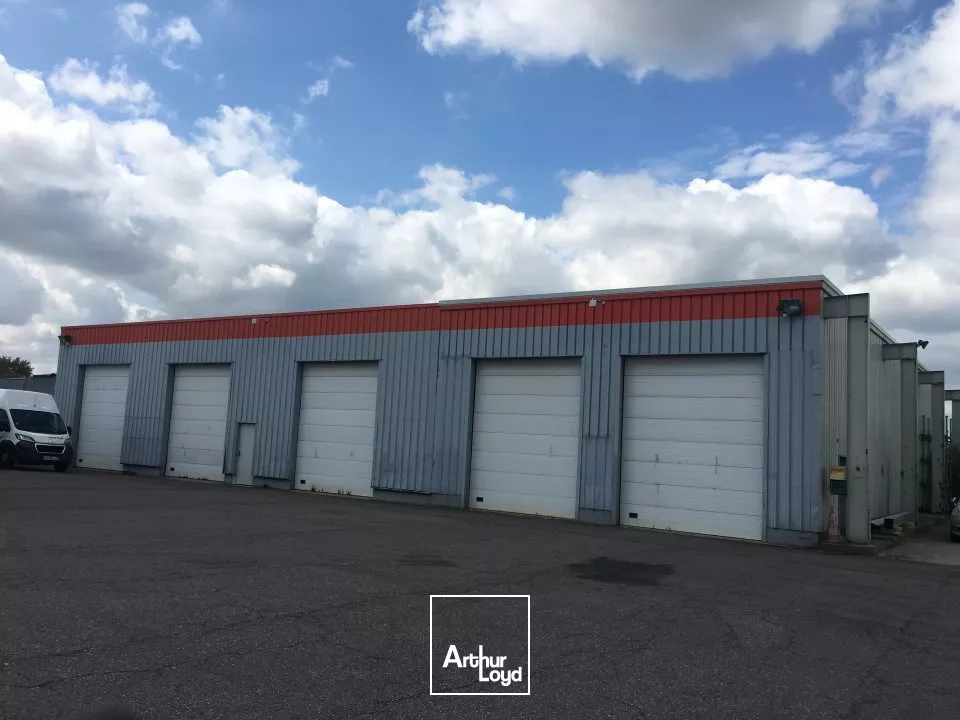 LOCAL D'ACTIVITE - ENTREPOT à LOUER de 300 m²
