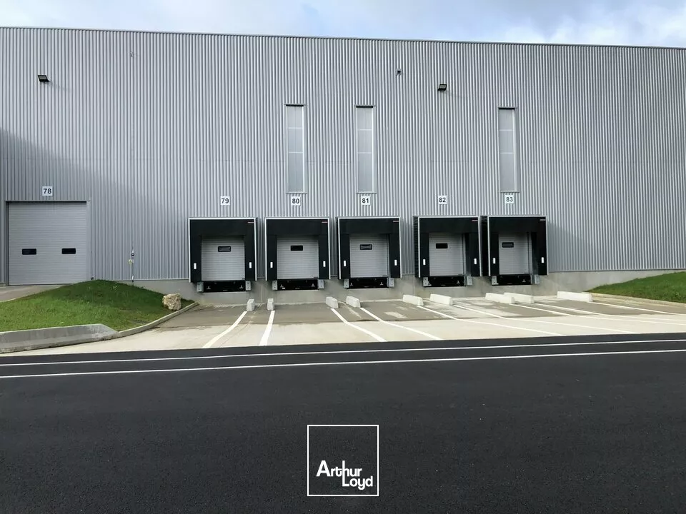 LOCAL D'ACTIVITE - ENTREPOT à LOUER de 6248 m²