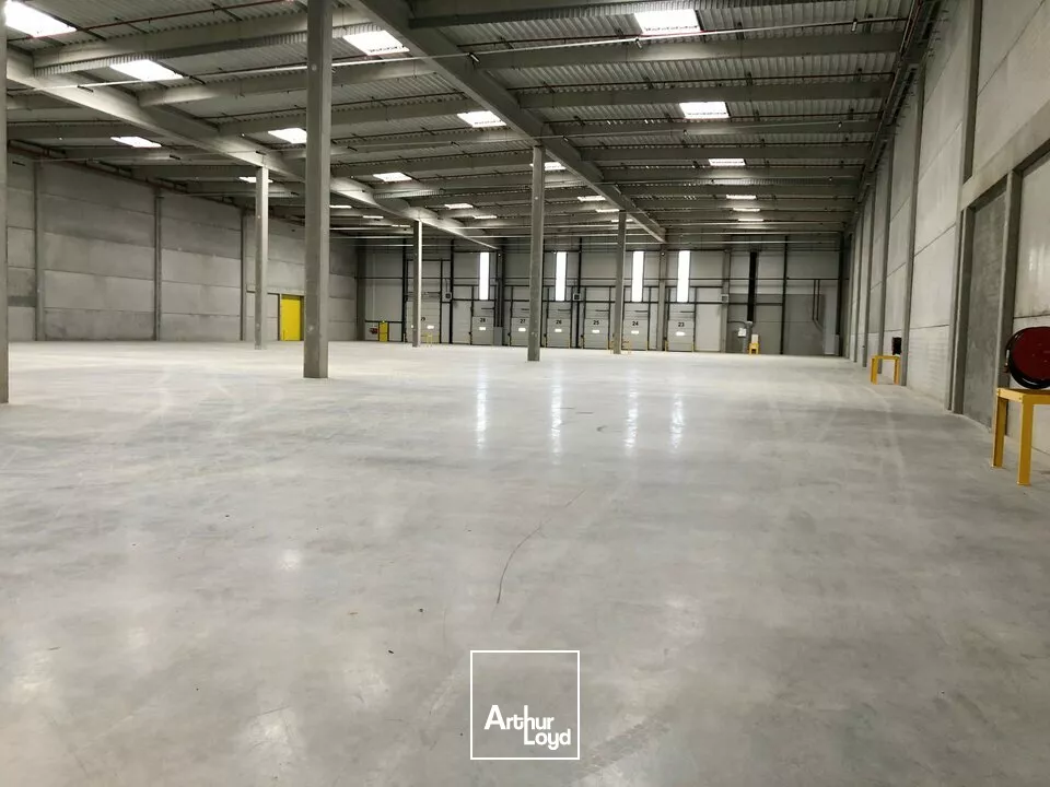 LOCAL D'ACTIVITE - ENTREPOT à LOUER de 6248 m²