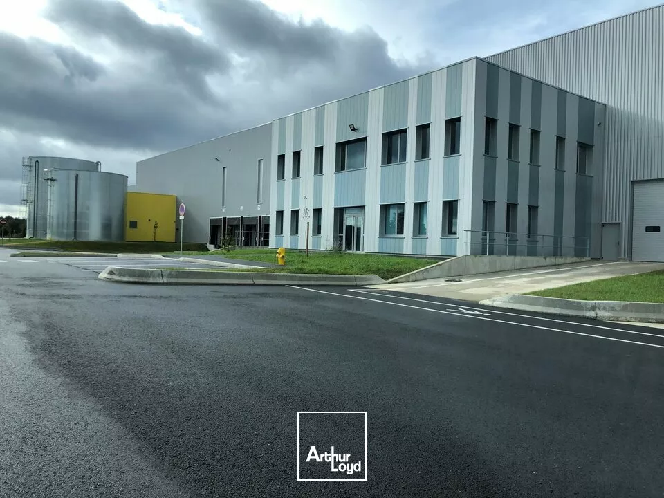 LOCAL D'ACTIVITE - ENTREPOT à LOUER de 3892 m²