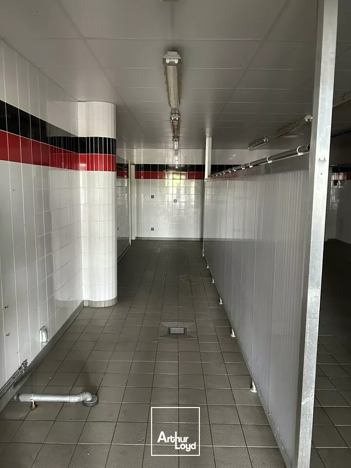 BUREAUX à LOUER de 571 m²