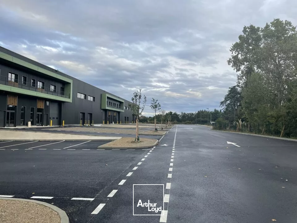 À louer - Surfaces d'activité à partir de 809 m² dans un parc neuf à Graveson - Emplacement stratégique entre Vaucluse et Bouches-du-Rhône