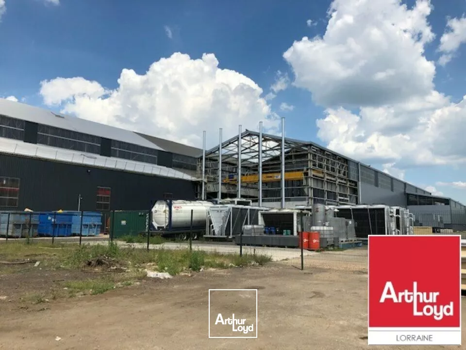 LOCAL D'ACTIVITE - ENTREPOT à LOUER de 2000 m²