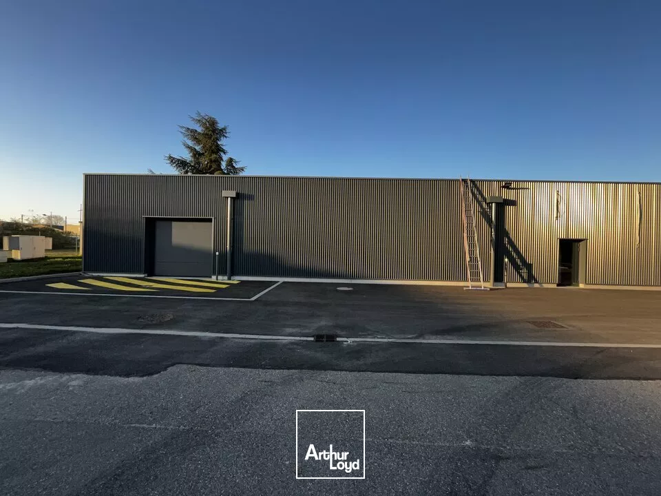 LOCAL COMMERCIAL à LOUER de 600 m²