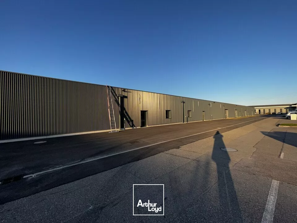 LOCAL COMMERCIAL à LOUER de 600 m²