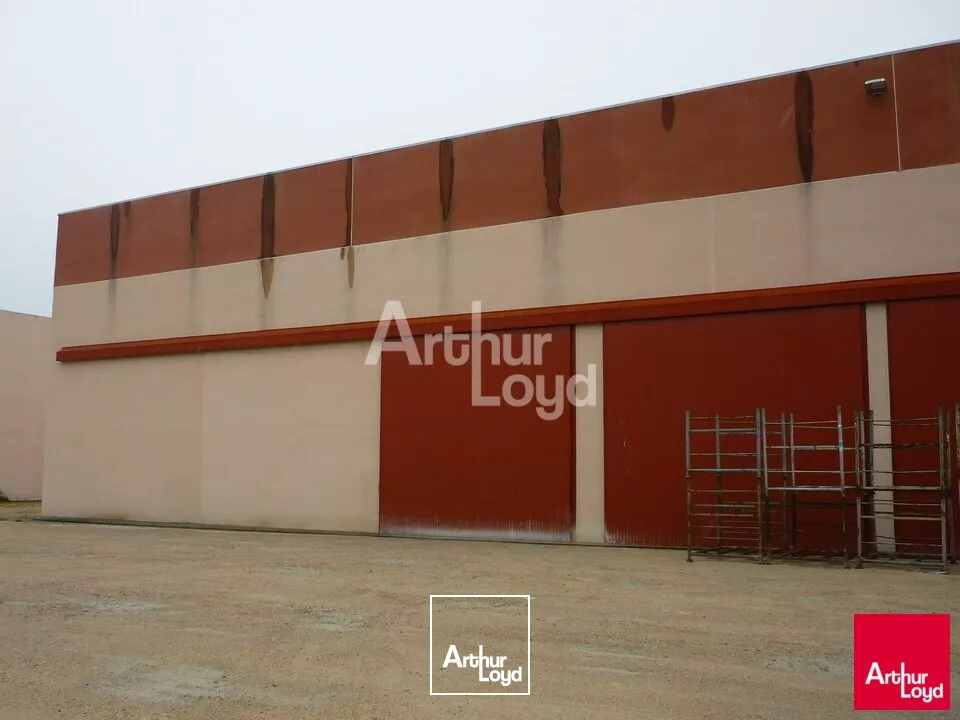 NOUAN-LE-FUZELIER PROCHE A71 - ENSEMBLE BATIMENTS ACTIVITE A VENDRE 43055 M2