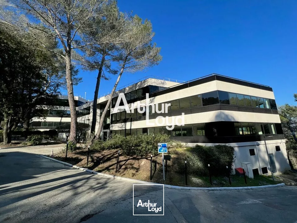 Ecoryzon - Bureaux rénovés 1027,46 m² divisibles à louer - Sophia Antipolis