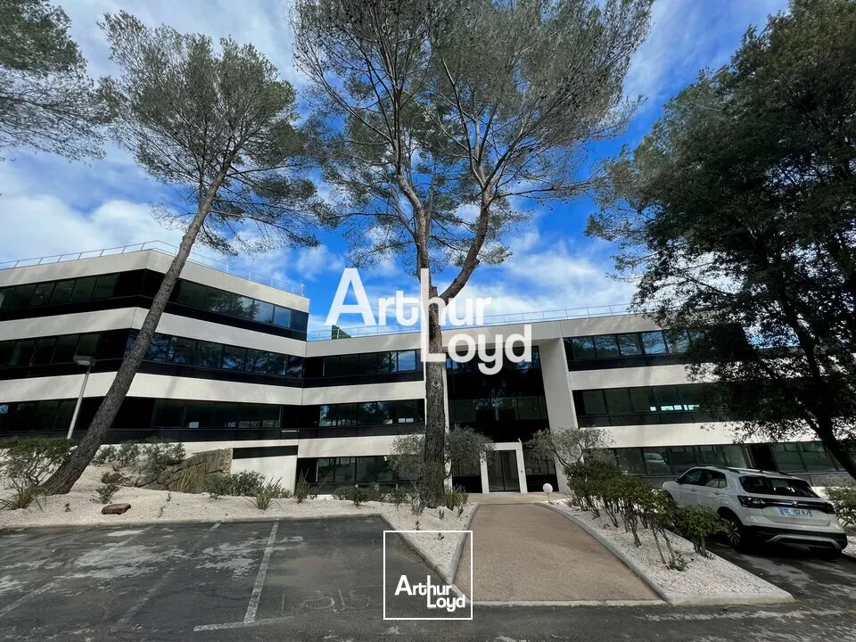 Ecoryzon - Bureaux rénovés 1027,46 m² divisibles à louer - Sophia Antipolis