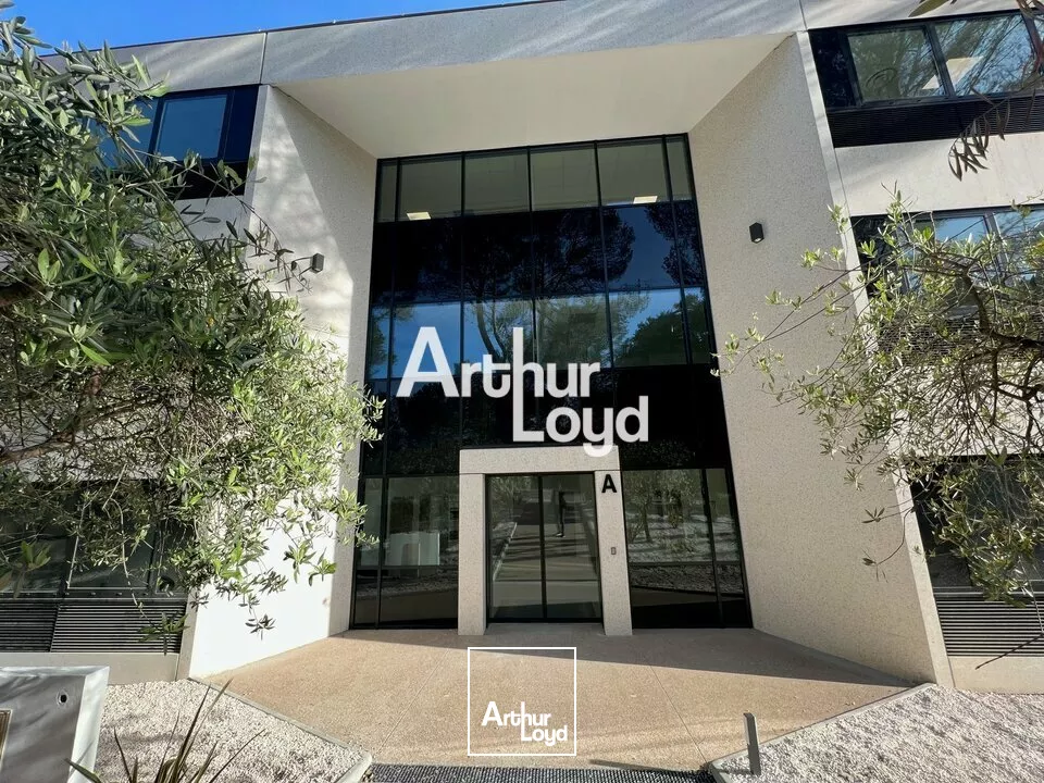 Ecoryzon - Bureaux rénovés 1027,46 m² divisibles à louer - Sophia Antipolis