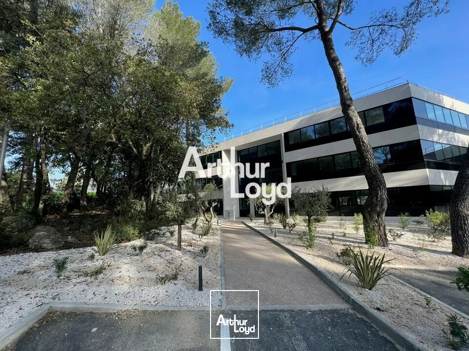 Ecoryzon - Bureaux rénovés 1027,46 m² divisibles à louer - Sophia Antipolis
