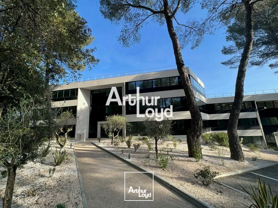Ecoryzon - Bureaux rénovés 1027,46 m² divisibles à louer - Sophia Antipolis