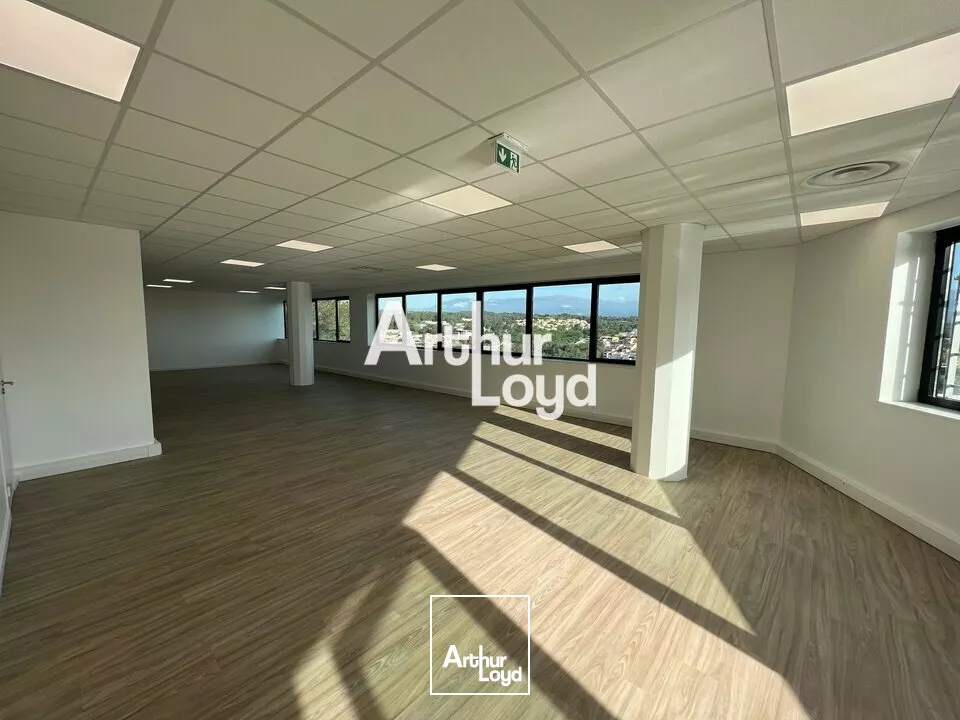 Ecoryzon - Bureaux rénovés 1027,46 m² divisibles à louer - Sophia Antipolis
