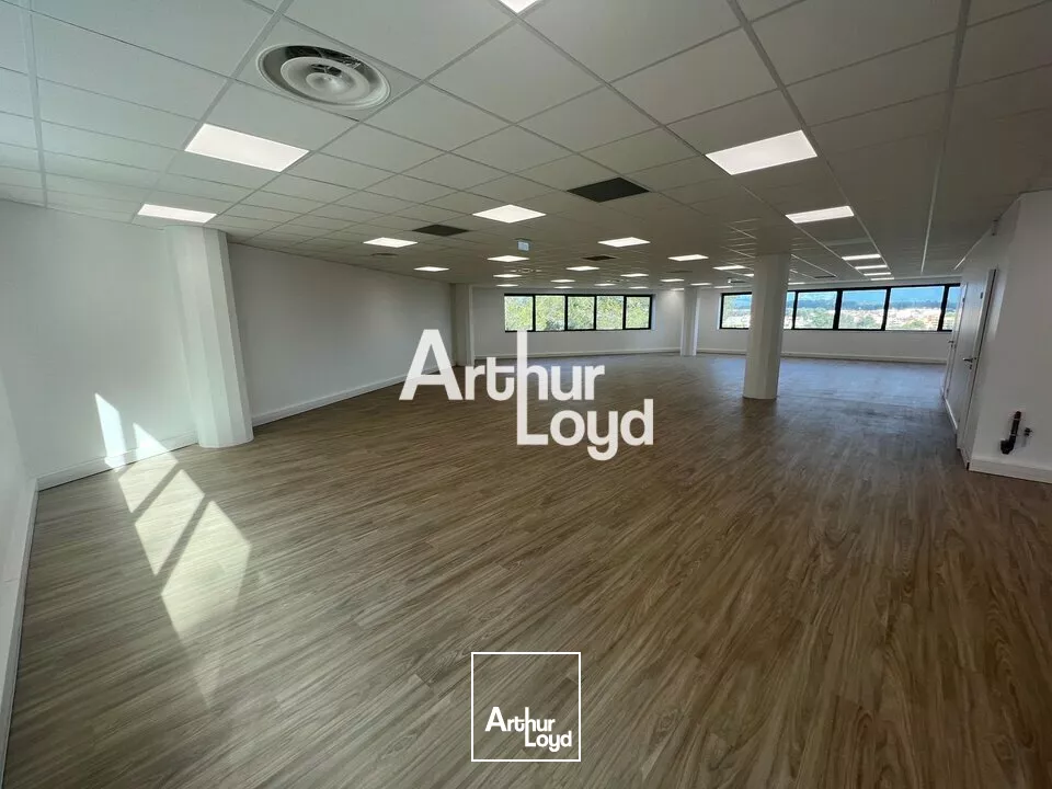 Ecoryzon - Bureaux rénovés 1027,46 m² divisibles à louer - Sophia Antipolis