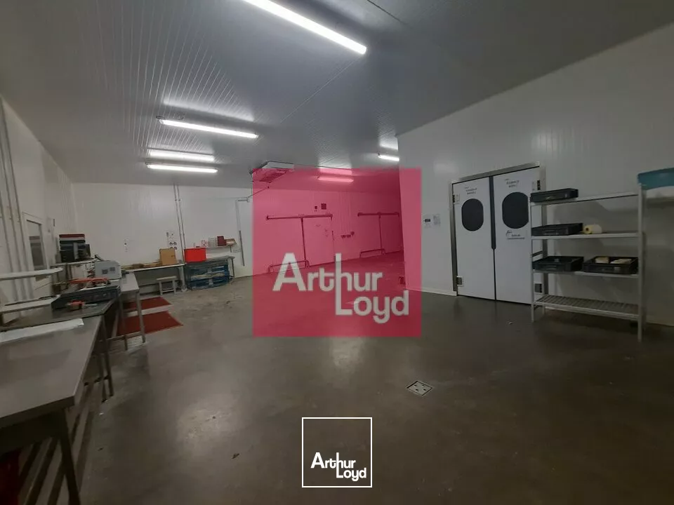 VOLVIC A VENTDRE ENSEMBLE IMMOBILIER LOCAL ACTIVITE 2700 M² - PARCELLE 24 600 M² - QUAIS