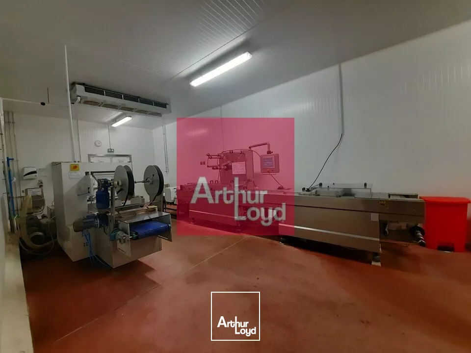 VOLVIC A VENTDRE ENSEMBLE IMMOBILIER LOCAL ACTIVITE 2700 M² - PARCELLE 24 600 M² - QUAIS