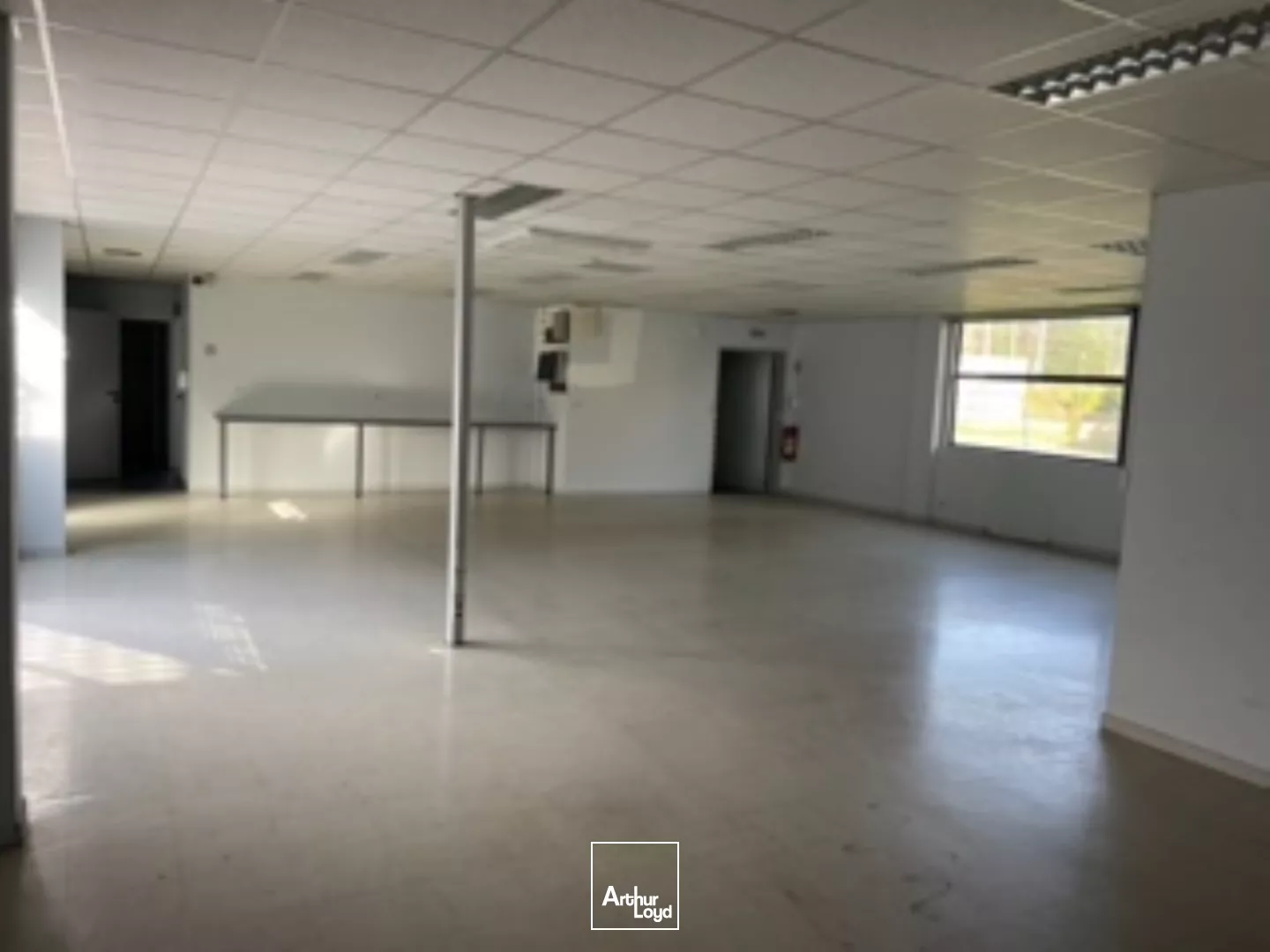 MACON SUD - Local commercial à louer