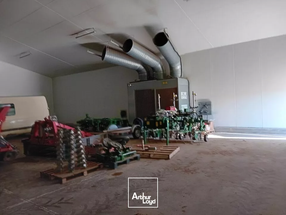 A louer Locaux activité et/ou entrepôts secteur Tournus