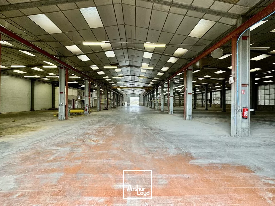 LOCAL D'ACTIVITE - ENTREPOT à LOUER de 1633 m²