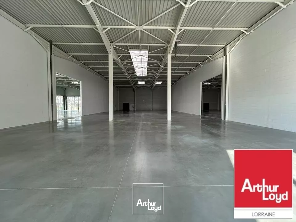 LOCAL D'ACTIVITE - ENTREPOT à LOUER de 770 m²
