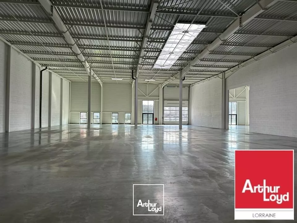 LOCAL D'ACTIVITE - ENTREPOT à LOUER de 1010 m²