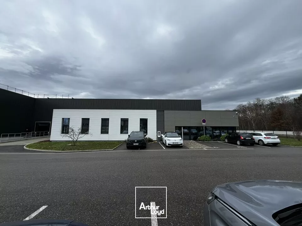 LOCAL D'ACTIVITE - ENTREPOT à LOUER de 2141 m²