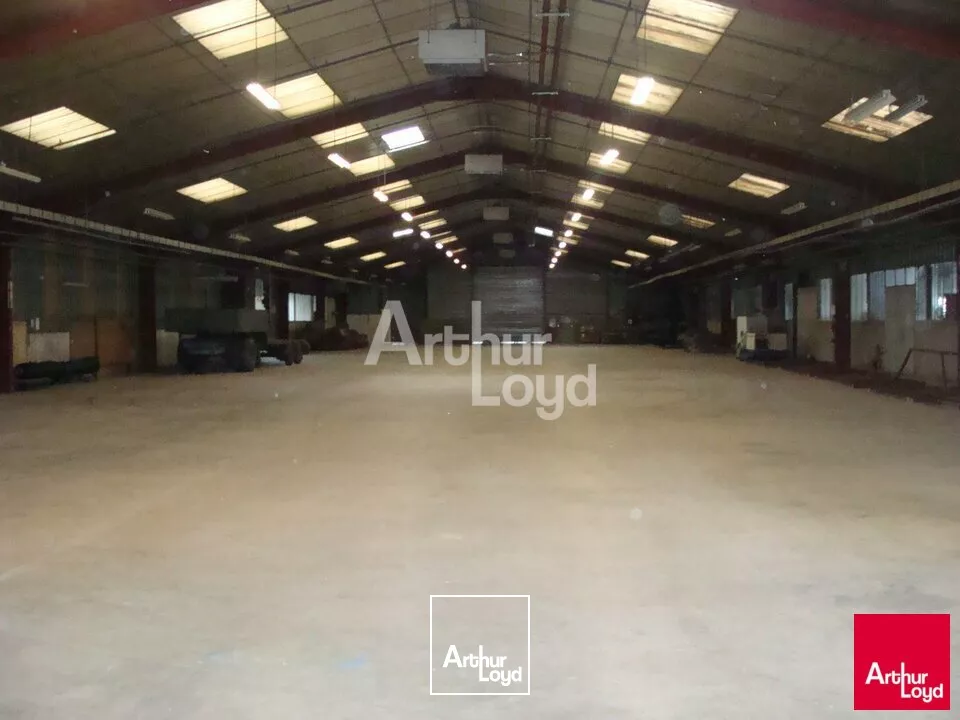 ECUELLE - LOCAUX D'ACTIVITES et LOGISTIQUE - A LOUER 2 000/3 000m² 