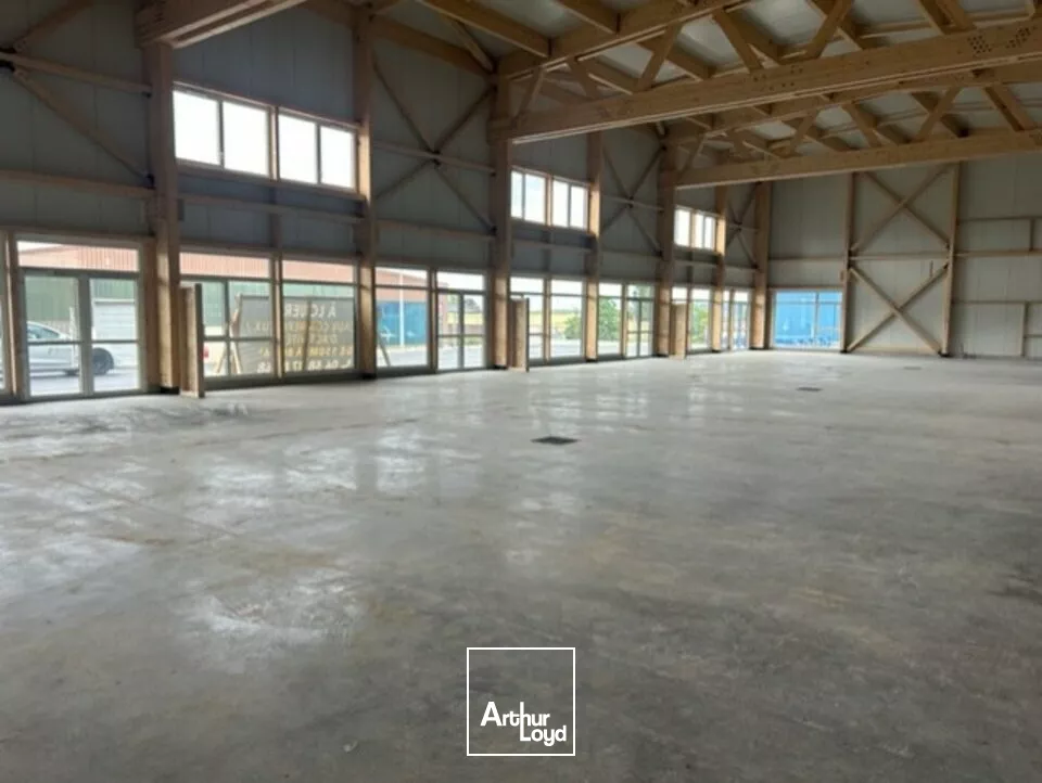 LOCAL D'ACTIVITE - ENTREPOT à LOUER de 230 m²