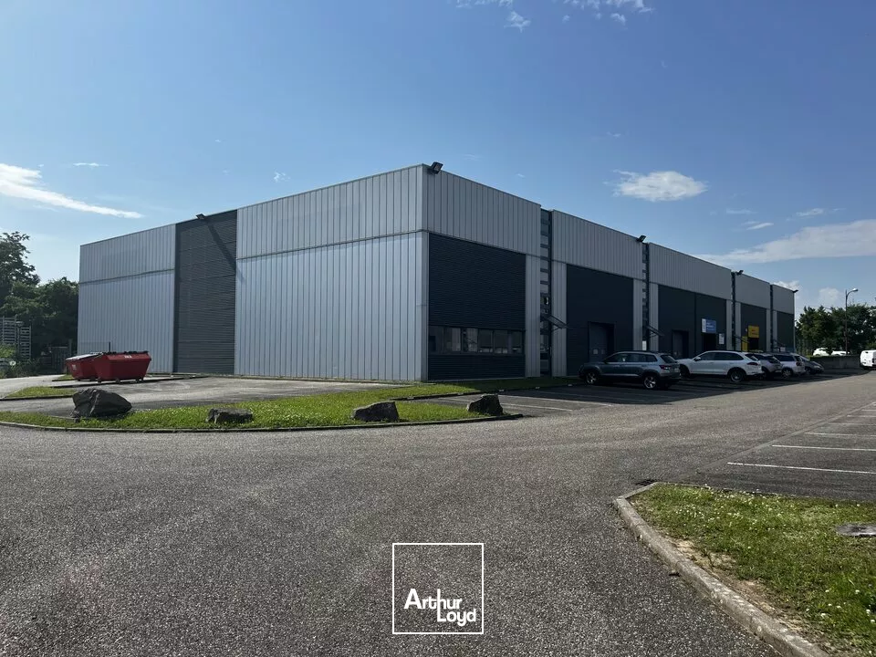LOCAL D'ACTIVITE - ENTREPOT à LOUER de 1847 m²