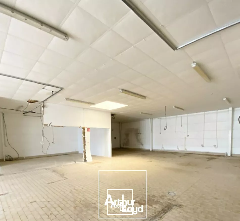 LOCAL D'ACTIVITE - ENTREPOT location à SAINT PANTALEON DE LARCHE 19600