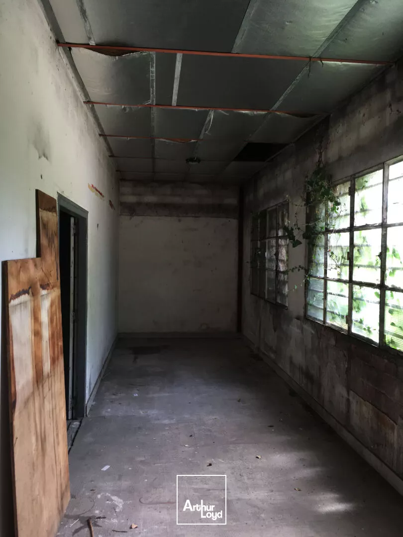 A VENDRE - Local commercial Le Palais Sur Vienne 550 m²