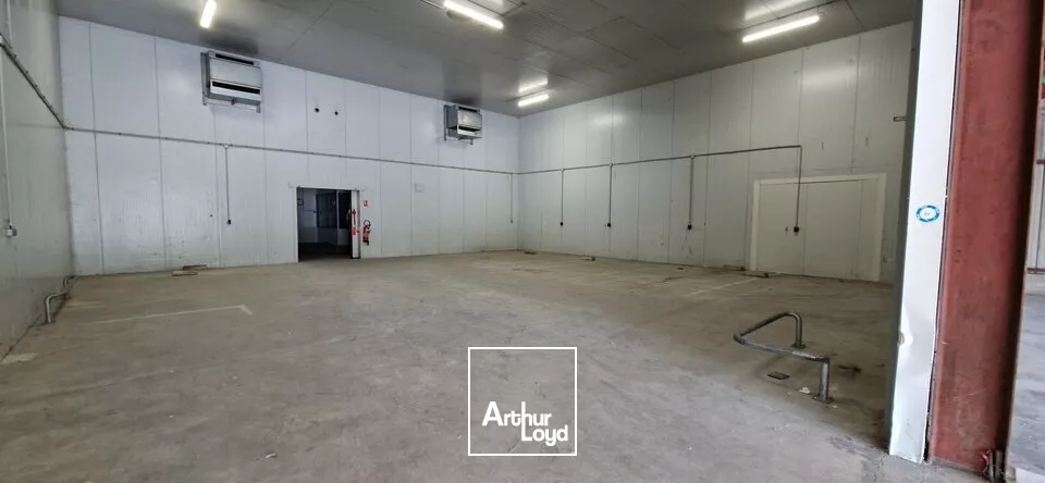 CHEVIGNY SAINT SAUVEUR - BATIMENT D'ACTIVITES - A LOUER