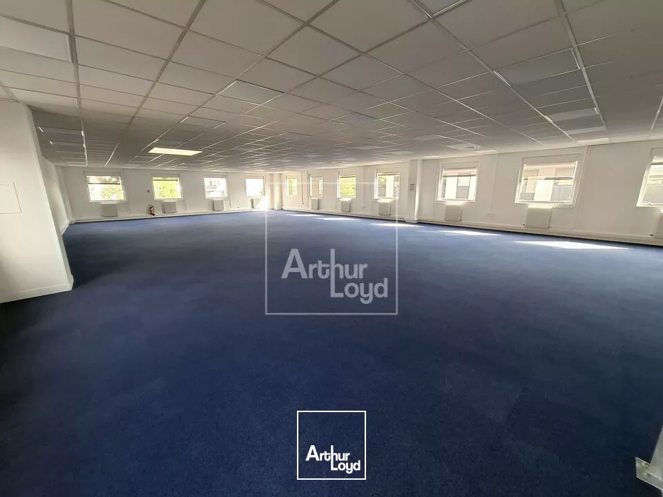 Locaux d'activité entièrement rénovés à louer