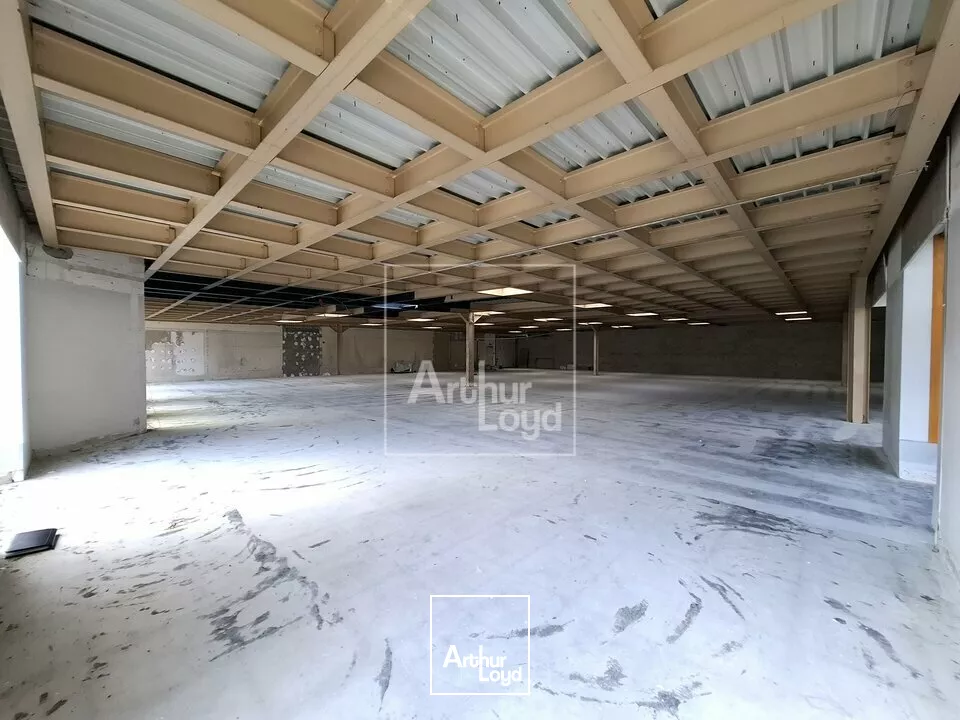 Locaux d'activité et bureaux plain-pied à louer 