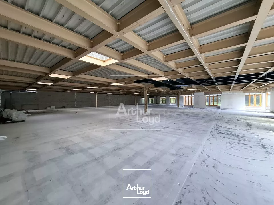 Locaux d'activité et bureaux plain-pied à louer 
