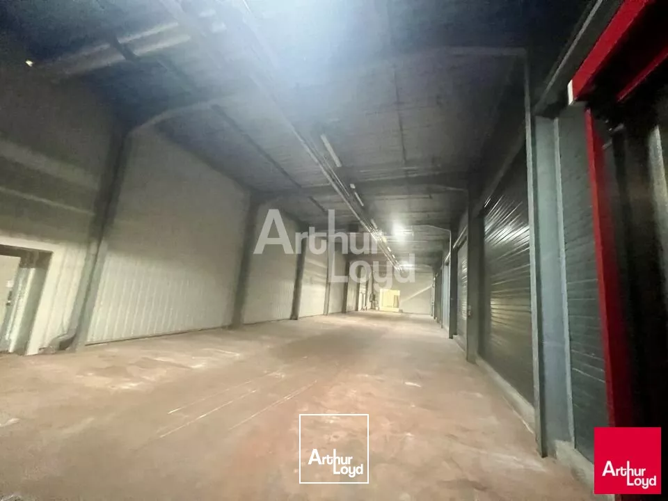 BETTON - LOCAL D'ACTIVITE A VENDRE 8 700m² 