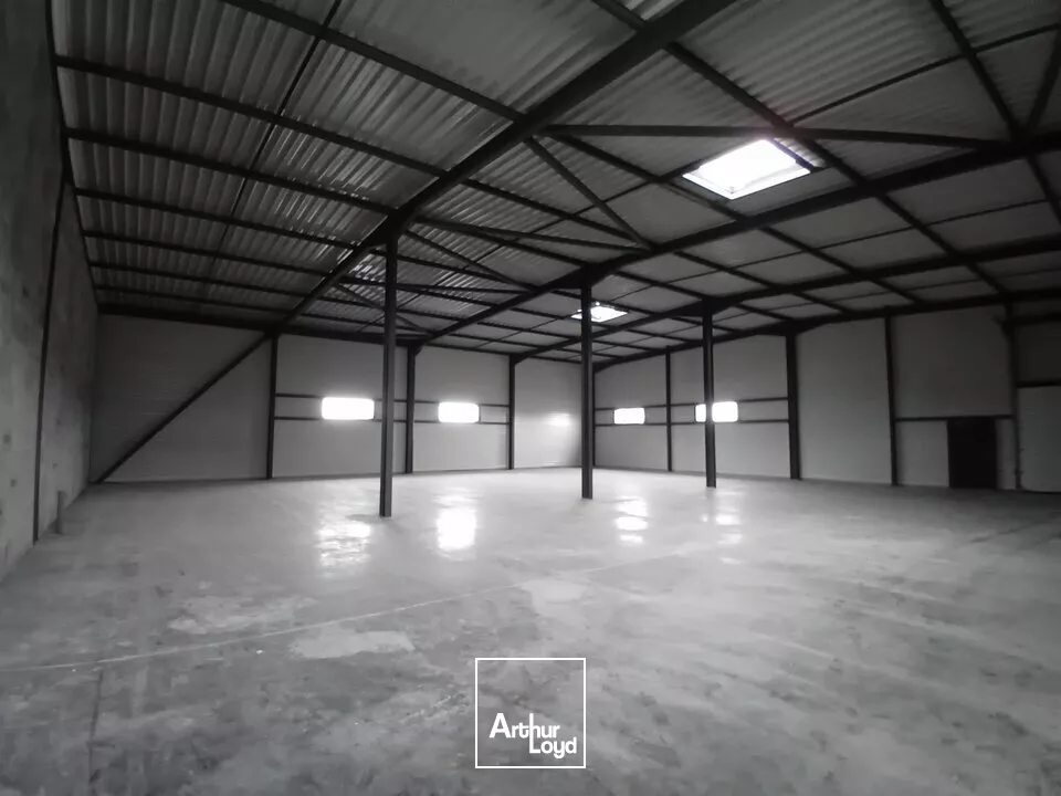 A vendre Cellules neuves à 20 min de Chalon