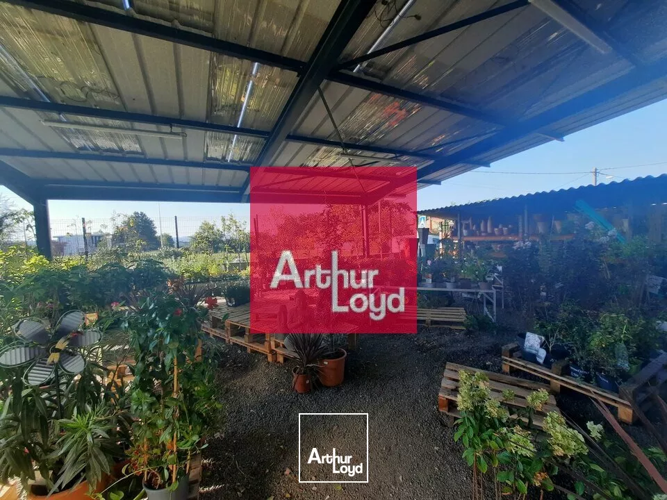 SECTEUR 63 A VENDRE JARDINERIE ANIMALERIE BRICOLAGE