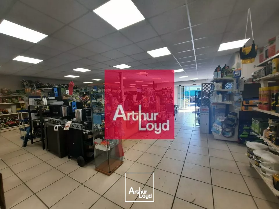 SECTEUR 63 A VENDRE JARDINERIE ANIMALERIE BRICOLAGE