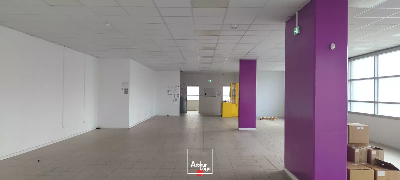 LOCAL COMMERCIAL 348 M²A VENDRE GRENOBLE PROCHE GRAND PLACE
