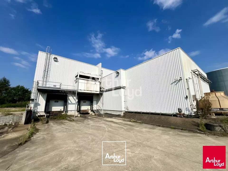 BETTON - LOCAL D'ACTIVITE A LOUER 8 700m² 