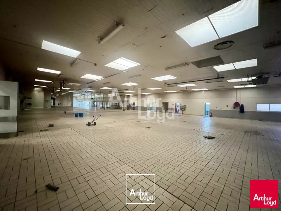 BETTON - LOCAL D'ACTIVITE A LOUER 8 700m² 