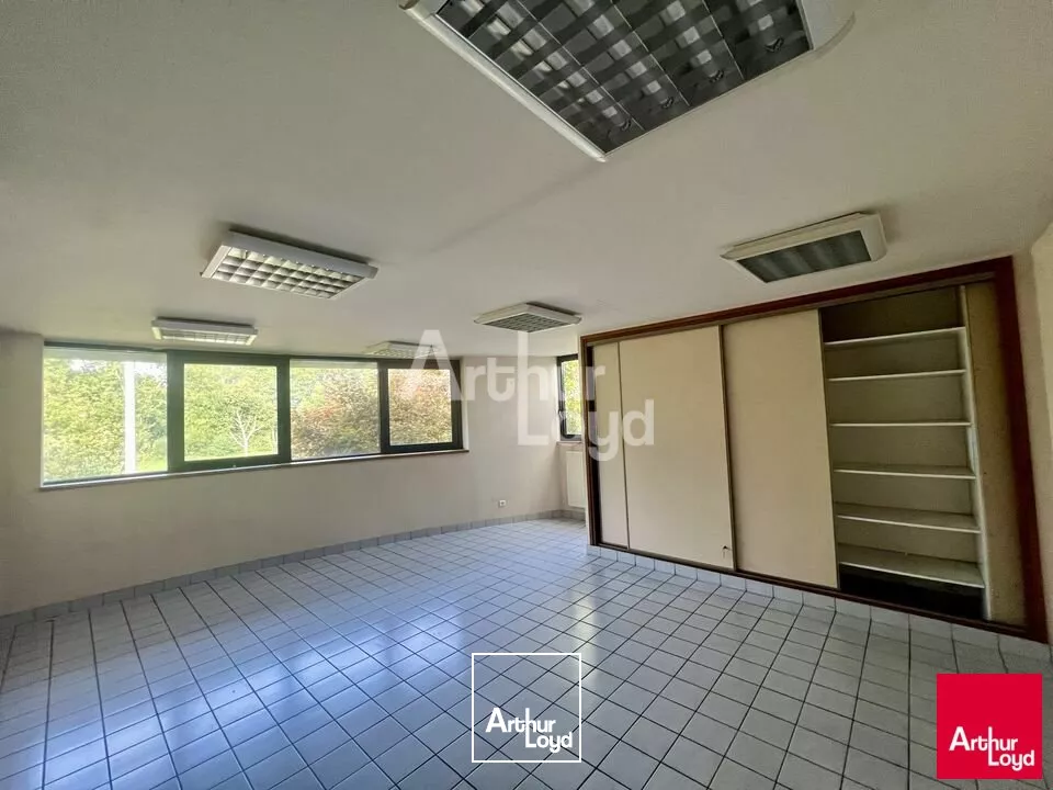 BETTON - LOCAL D'ACTIVITE A LOUER 8 700m² 