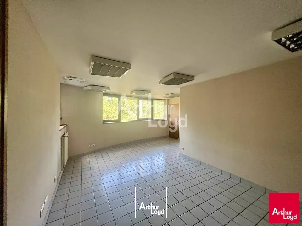 BETTON - LOCAL D'ACTIVITE A LOUER 8 700m² 